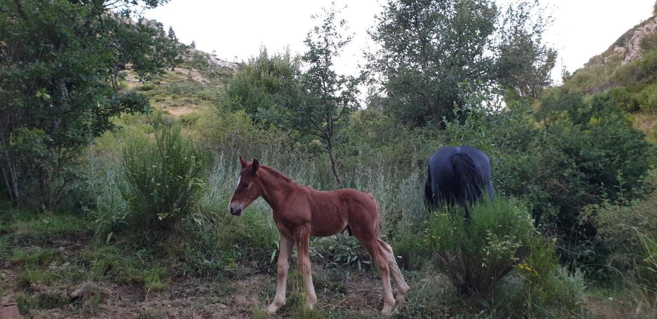 Casa Rural Carmen Luna Mallo de Luna المظهر الخارجي الصورة